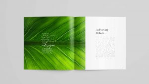 Xoffice brochure