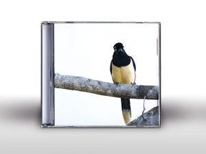 About Wayne booklet