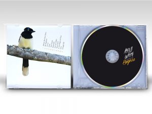 About Wayne booklet