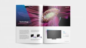 SES brochure