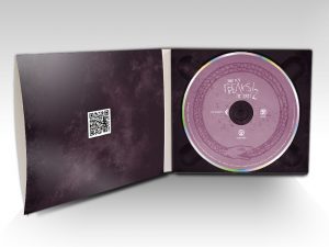 Freaks! The Series booklet