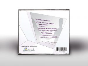 the electric diorama booklet