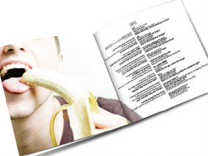 the electric diorama booklet