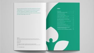 enpap brochure