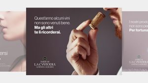 portfolio Terre Della Custodia 4